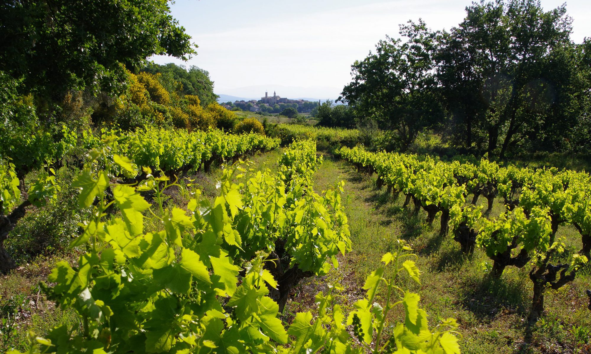 Terres du Gaugalin